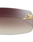 Cartier CT0503S | 003