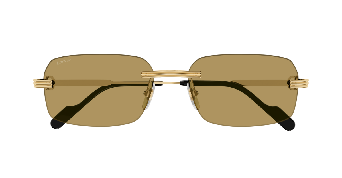 Cartier CT0271S | 009